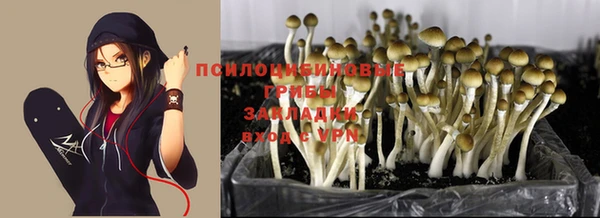 mdpv Лабытнанги
