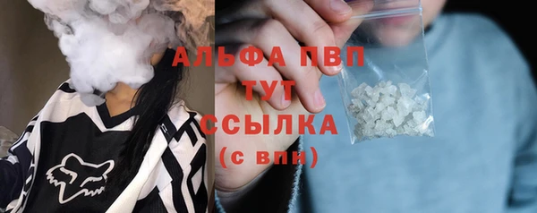 твердый Ладушкин