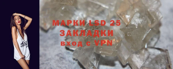 твердый Ладушкин