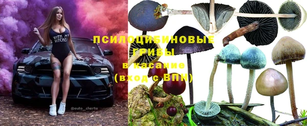 mdpv Лагань