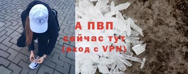 твердый Ладушкин