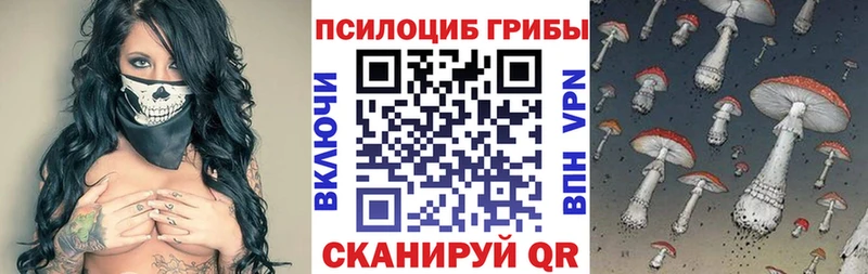 нарко площадка состав  Мглин  Галлюциногенные грибы прущие грибы  как найти закладки 